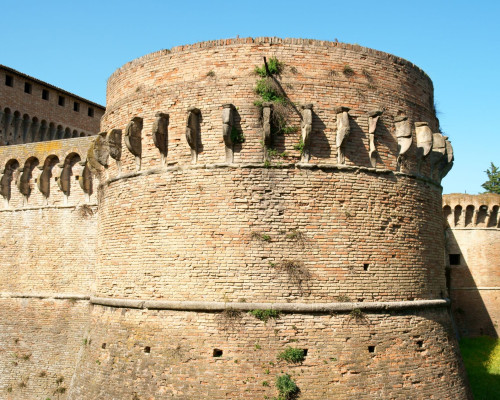 media.FORLI