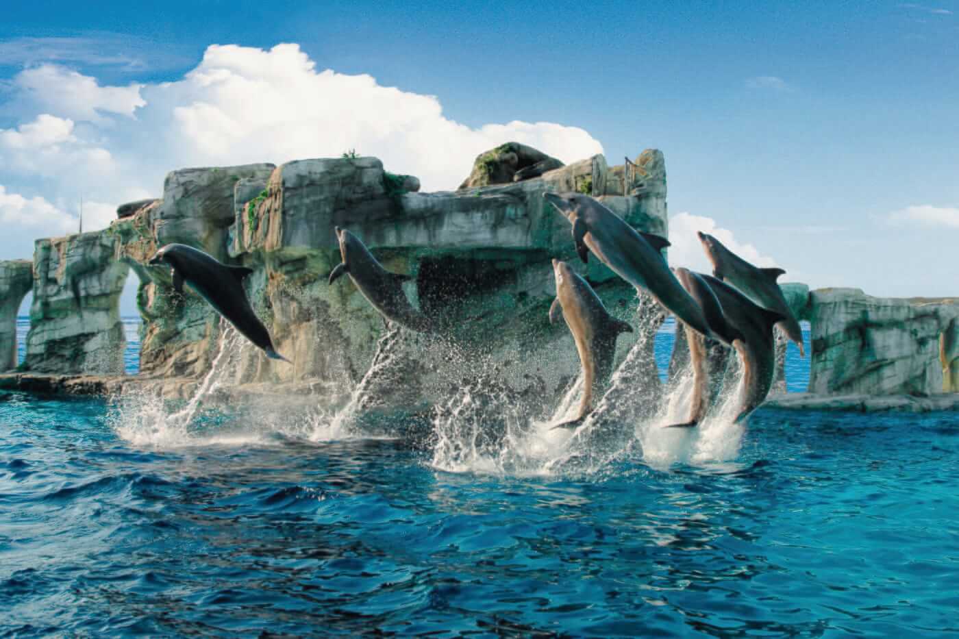 Oltremare et Aquafan, face à face avec les dauphins et de nombreux toboggans.